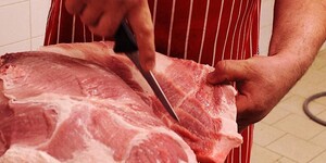 _antialias_931b76ee-2afc-11e1-baf3-0030483492b6_cc9878726ddd8b86a8f313b9897632ed